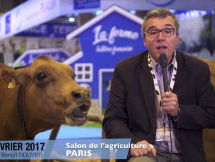 Signes d’amélioration en vue selon le Cniel