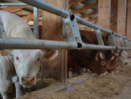 « Aucune marge de sécurité » en allaitant