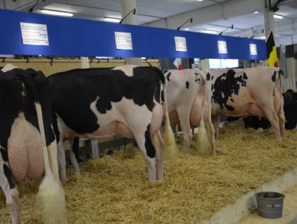 60 kilos de lait en plus en 2018