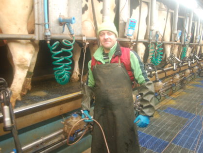 Des vaches danoises productives mais vieillissant mal