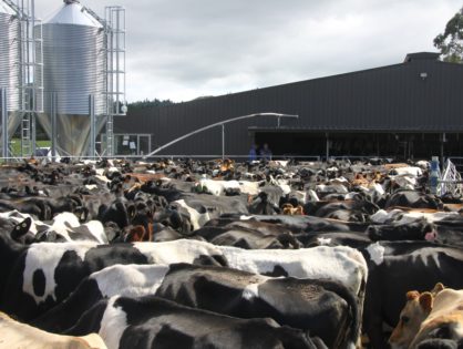 Le lait et la viande bovine en 2029