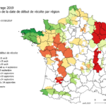 Déjà les premiers ensilages de maïs