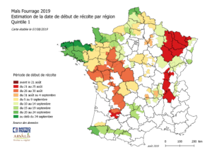 Déjà les premiers ensilages de maïs