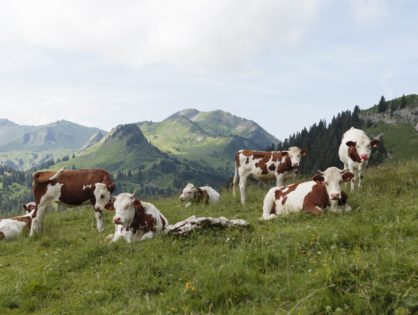 Le comté sera mieux protégé en Chine