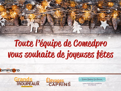 Joyeuses fêtes !