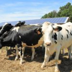 EDF cherche 15 000 ha pour des panneaux solaires
