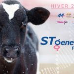 STgenetics France : nouvel acteur de la génétique