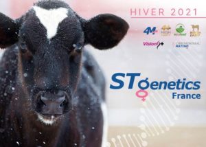 STgenetics France : nouvel acteur de la génétique