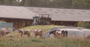 chantier d'esilage 2025 Parcé sur sarthe