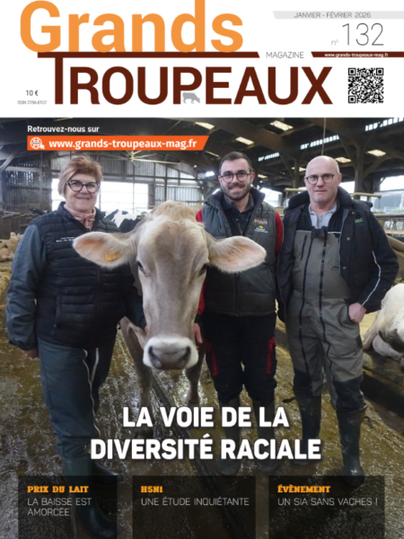 GTM Janvier-Février 2026