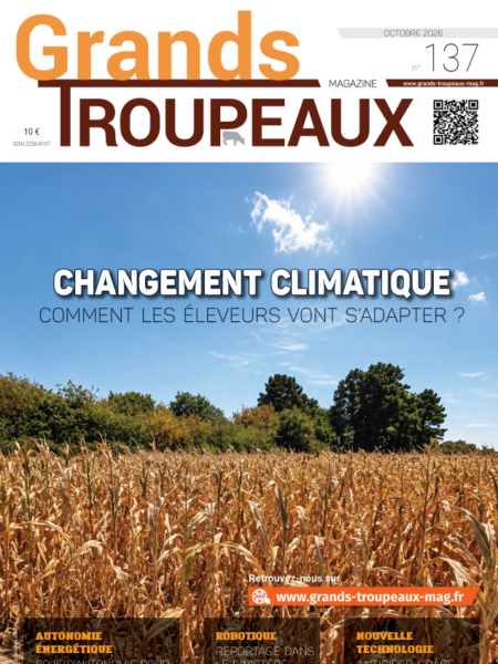 GTM d'octobre 2026