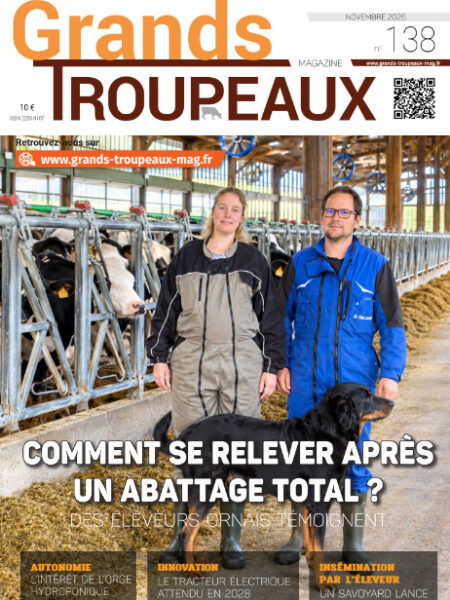 GTM de novembre 2026