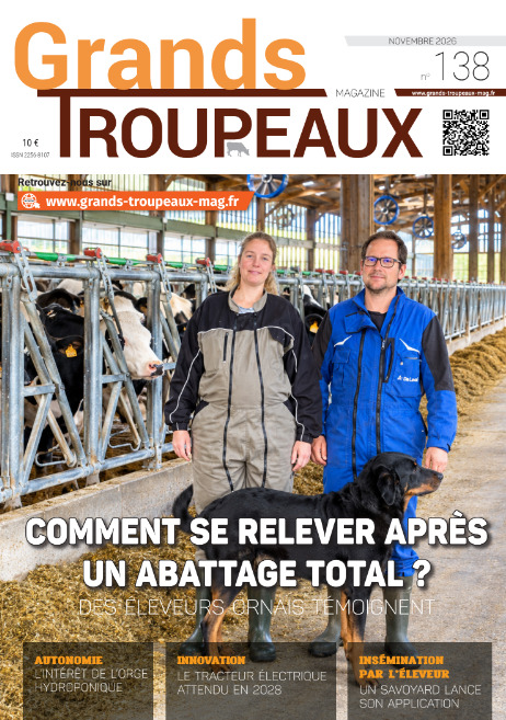 GTM de novembre 2026