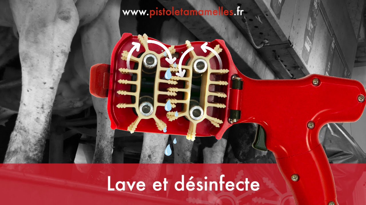 Des mamelles propres avec l'Udder Gun Grands Troupeaux Magazine